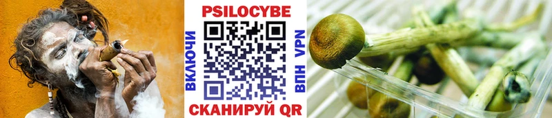 Купить закладки  Волчанск  Псилоцибиновые грибы мухоморы 